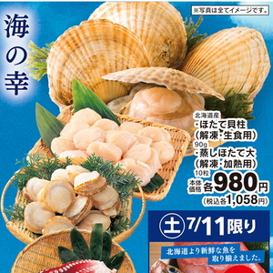 ほたて（刺身）