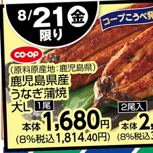 うなぎの蒲焼き