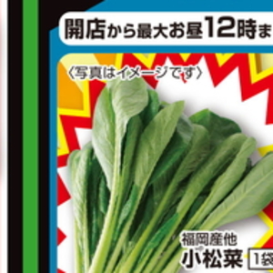こまつ菜