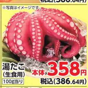 たこ（ボイル）