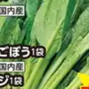 ごぼう