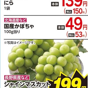 かぼちゃ