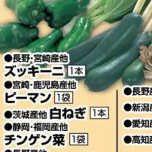 ズッキーニ