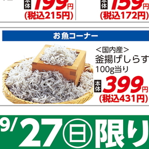 しらす