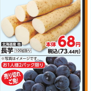 ながいも