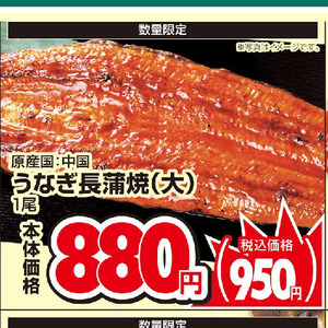 うなぎの蒲焼き