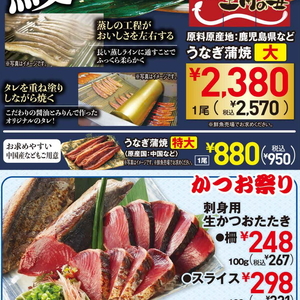 うなぎの蒲焼き