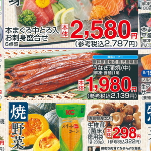 うなぎの蒲焼き
