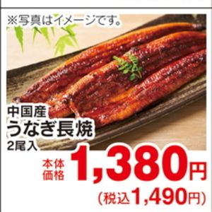 うなぎの蒲焼き