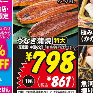 うなぎの蒲焼き