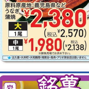 うなぎの蒲焼き