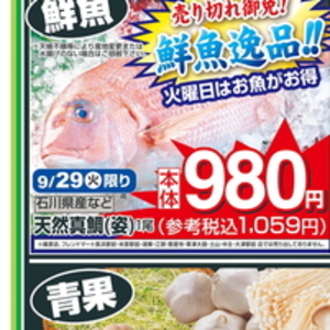 豚コマ・切落し