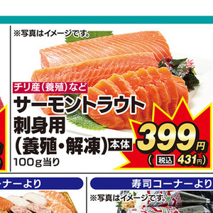 サーモン（刺身）