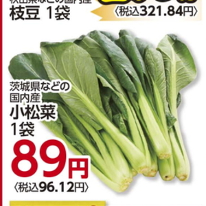 こまつ菜