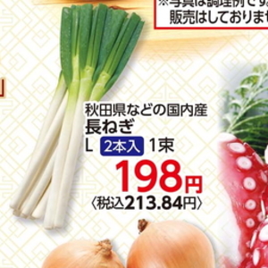 ながねぎ
