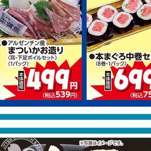 いか（刺身）