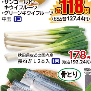 ながねぎ