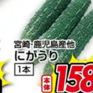 ゴーヤ