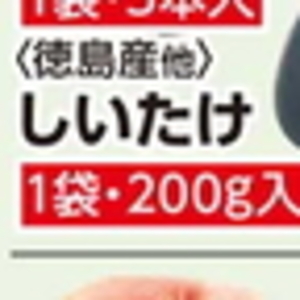 しいたけ