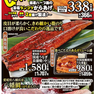 うなぎの蒲焼き