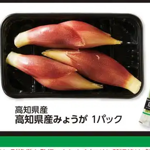 みょうが
