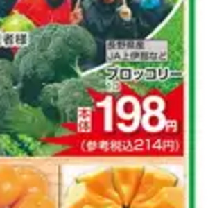 ブロッコリー