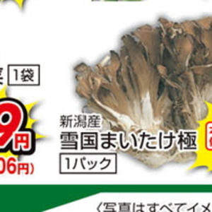 まいたけ