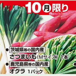 ながねぎ