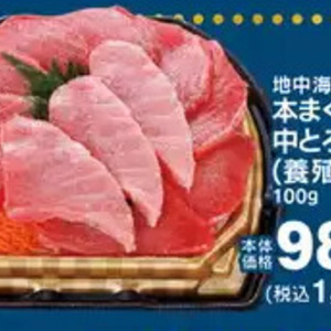 まぐろ中とろ