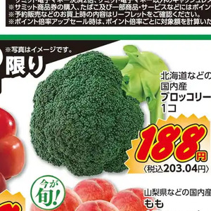 ブロッコリー