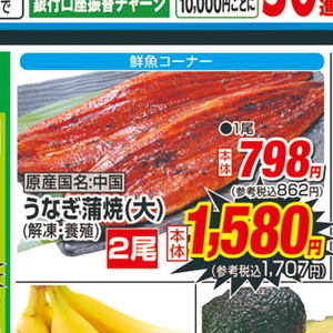 うなぎの蒲焼き