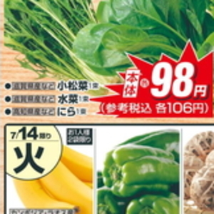水菜
