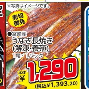 うなぎの蒲焼き