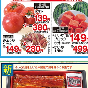 みょうが