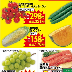 はくさい