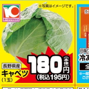きゃべつ