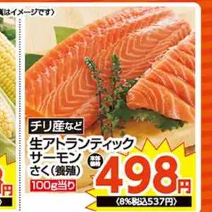 サーモン（刺身）