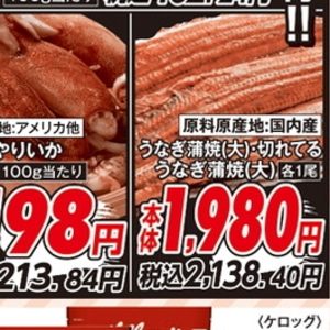 いか（刺身）