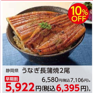 うなぎの蒲焼き