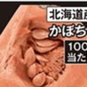 かぼちゃ