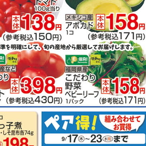 うなぎの蒲焼き