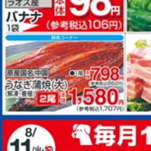 うなぎの蒲焼き