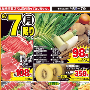 豚ロース薄切り