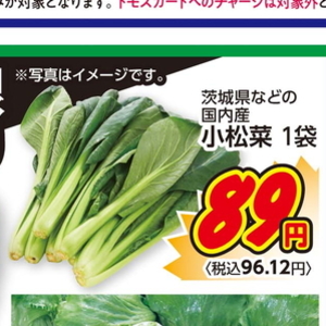 こまつ菜
