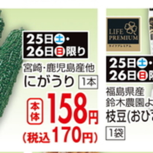 ゴーヤ