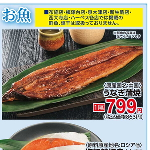 うなぎの蒲焼き