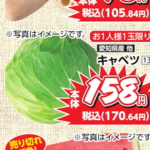 きゃべつ