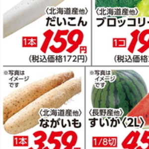 だいこん