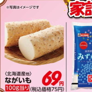 ながいも