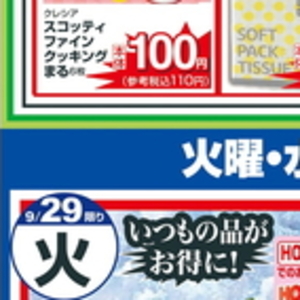 マッシュルーム